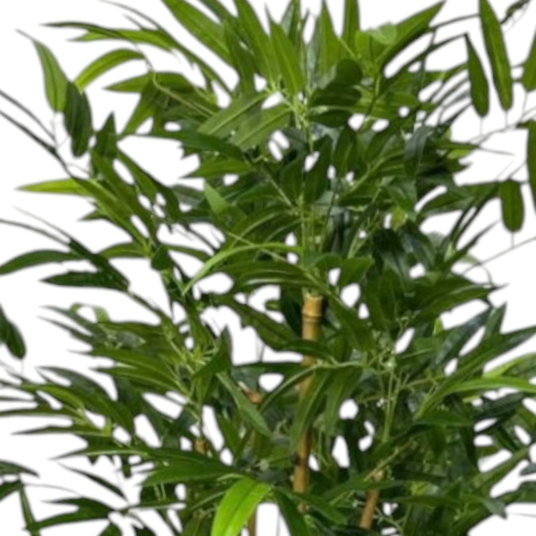 Artificial Bambo Plant — photo 2 | Planto.ae UAE