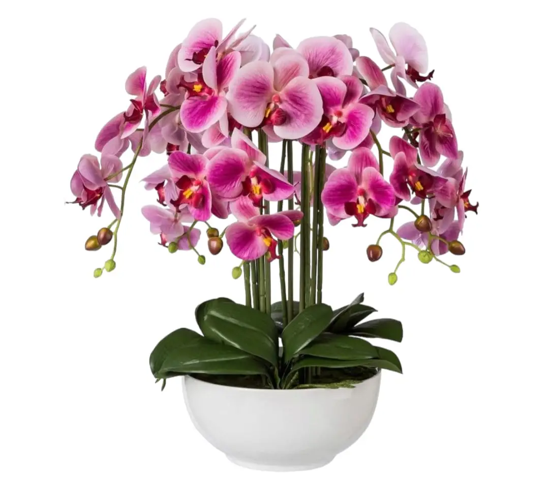 Artificial Orchid Arrangements Beautiful Color — Artificial Plants for Dubai & UAE delivery | Planto.ae