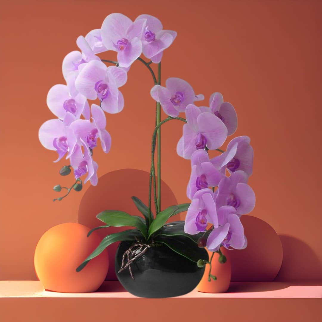 Artificial Orchid Arrangements In Black Bowl — Artificial Plants for Dubai & UAE delivery | Planto.ae