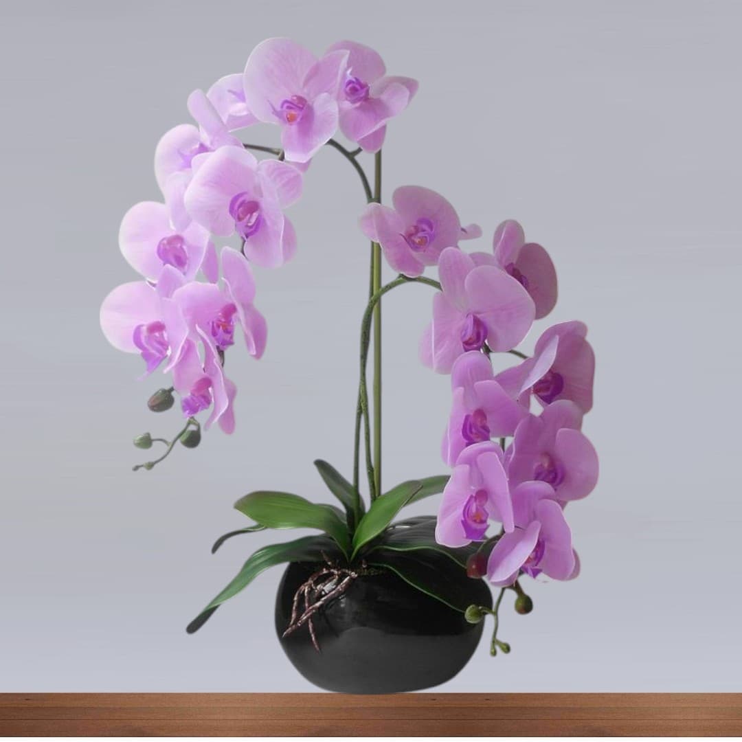 Artificial Orchid Arrangements In Black Bowl — photo 2 | Planto.ae UAE