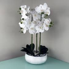 Artificial White Orchid In White Ceramic Pot — Artificial Plants for Dubai & UAE delivery | Planto.ae