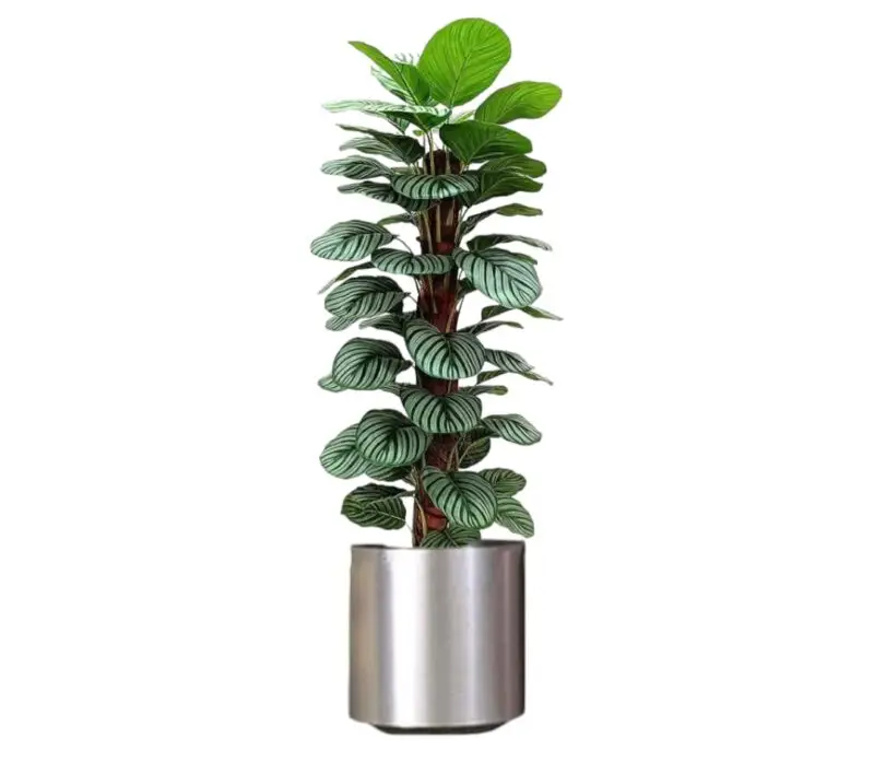 Beautiful Artificial Plant In Silver Color Metal Pot. — Artificial Plants for Dubai & UAE delivery | Planto.ae