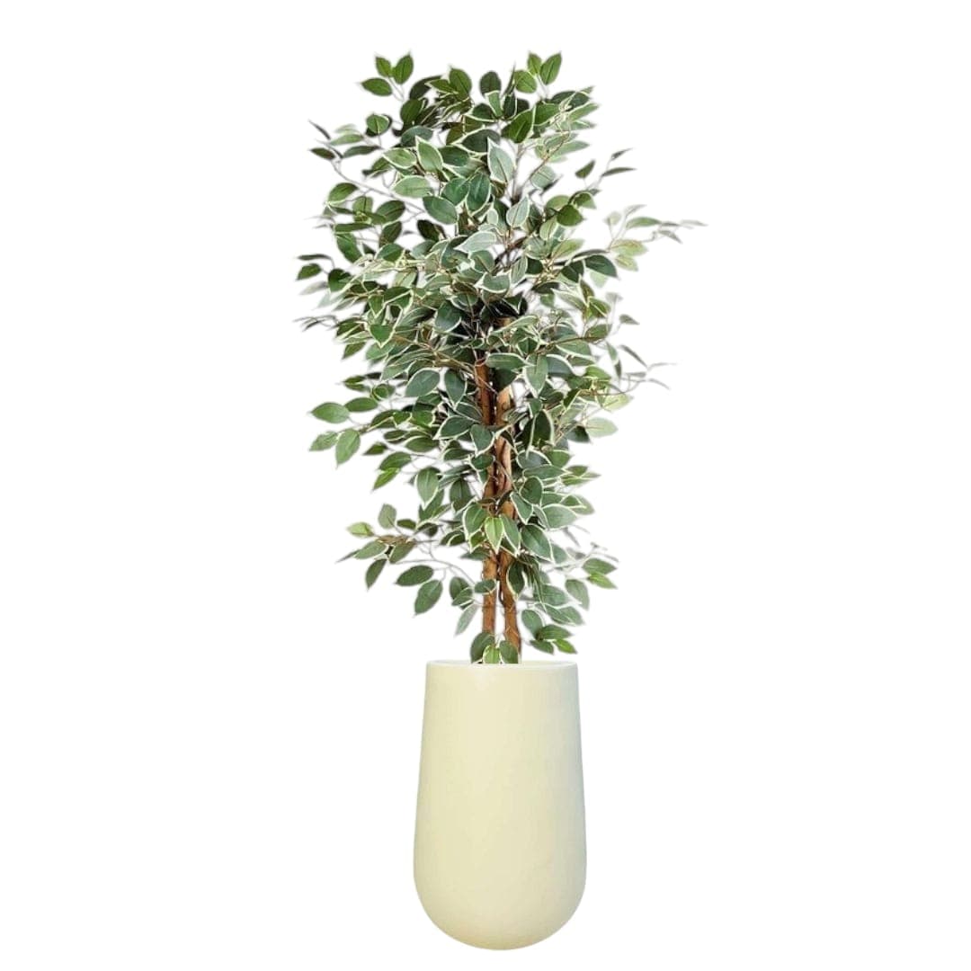 Beautiful Fake Plant — photo 2 | Planto.ae UAE