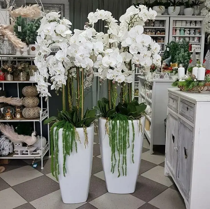 Set Of Two – White Orchid Stems In White Pots — Artificial Plants for Dubai & UAE delivery | Planto.ae