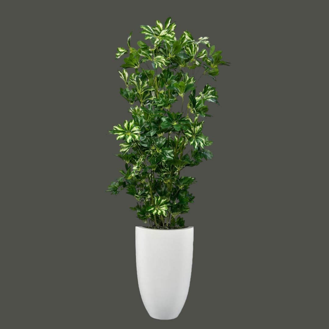 Very Beautiful Fake Plant In White Ceramic Pot — Artificial Plants for Dubai & UAE delivery | Planto.ae