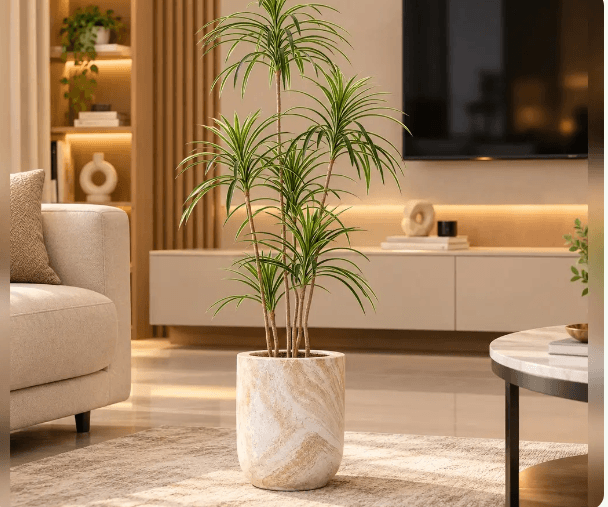 Shop Artificial Plants