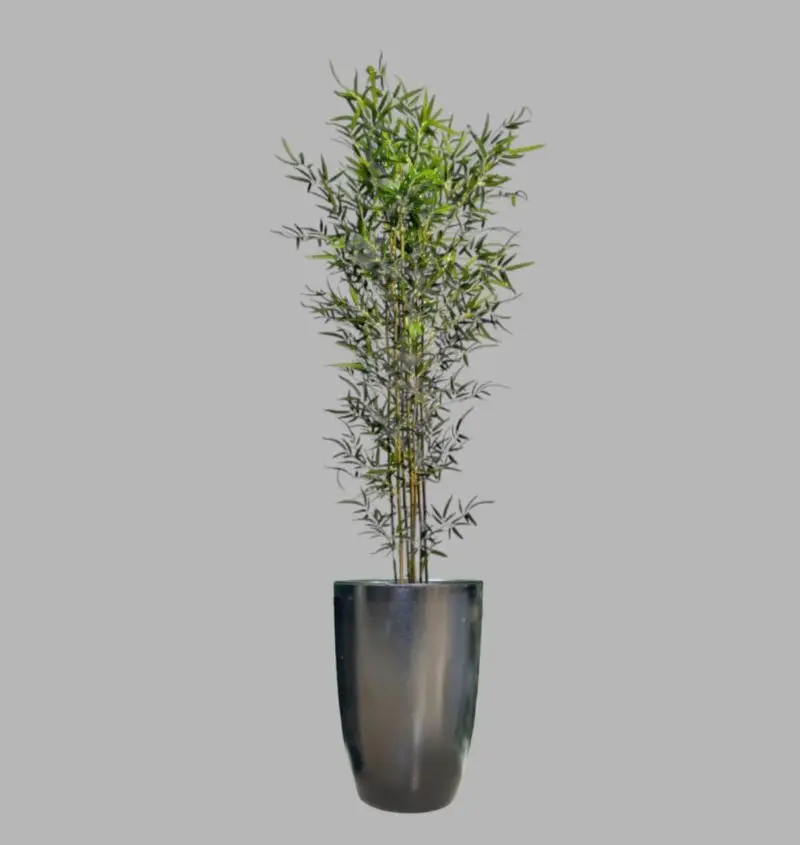 Amazing Artificial Bamboo Plant In Black Ceramic Pot — Artificial Plants for Dubai & UAE delivery | Planto.ae