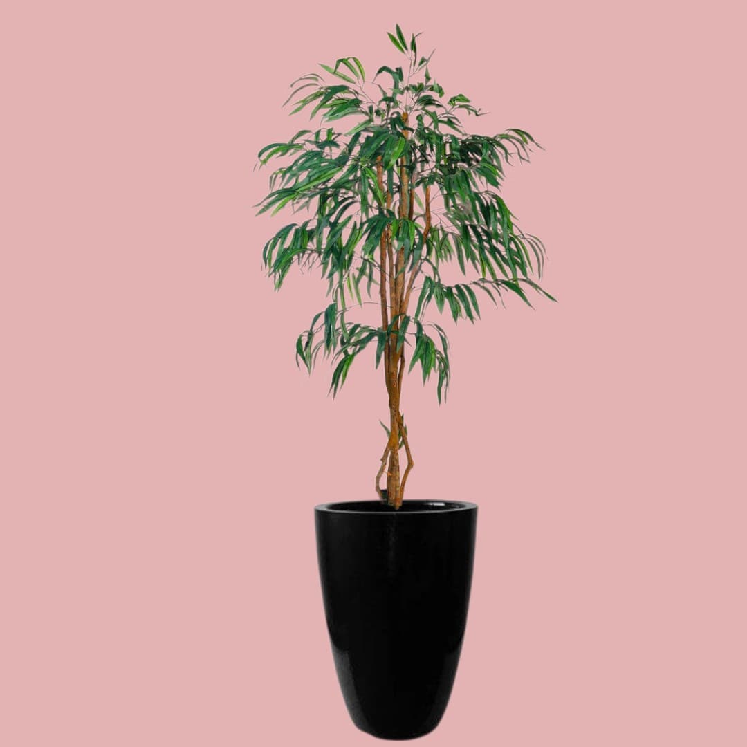 Artificial/Fake FicusBamboo In Black Ceramic Pot — Artificial Plants for Dubai & UAE delivery | Planto.ae