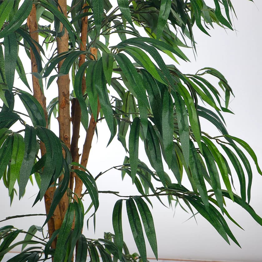 Artificial/Fake FicusBamboo In Black Ceramic Pot — photo 2 | Planto.ae UAE