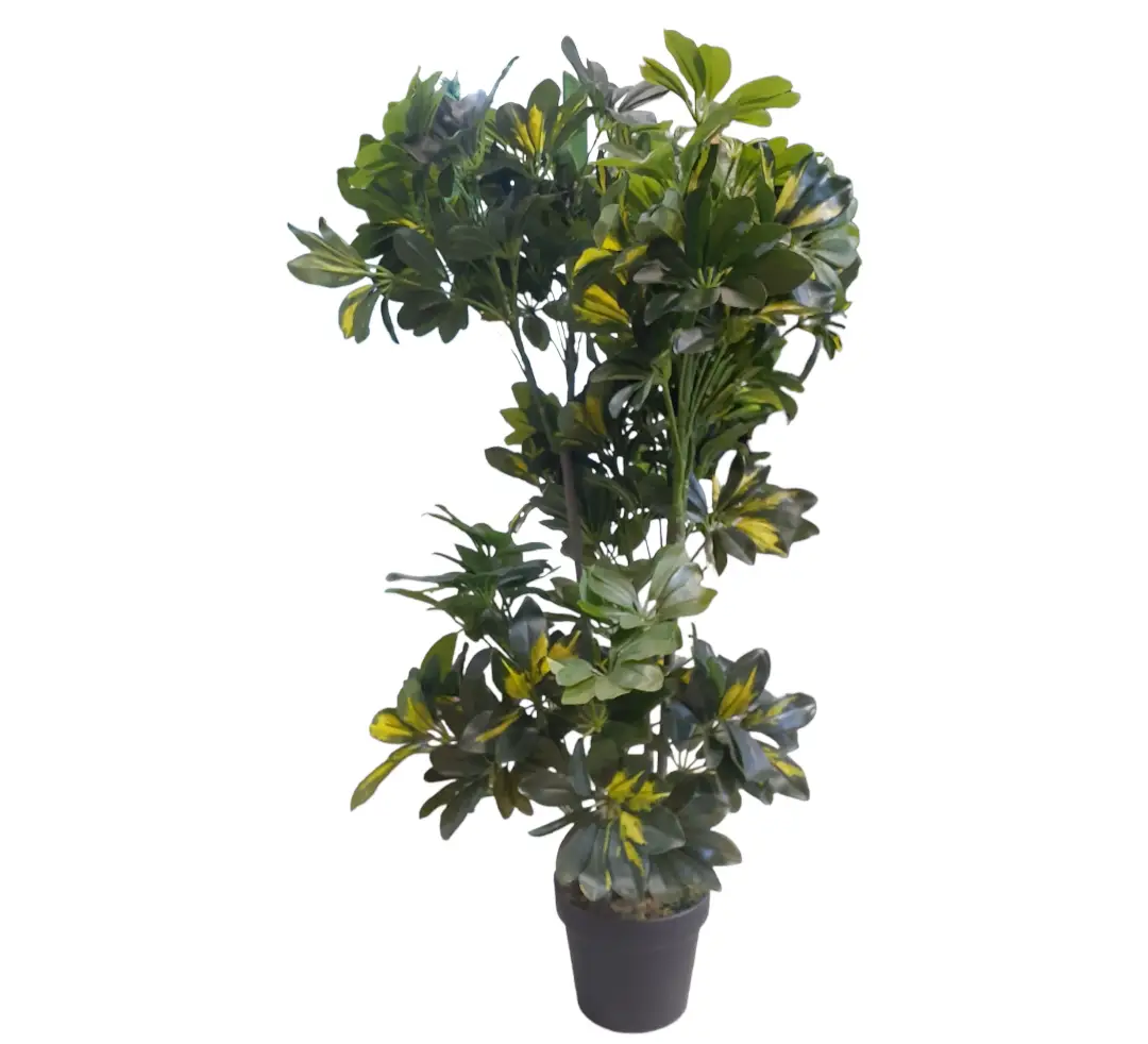 Artificial/Fake Green Schefflera Plant — Artificial Plants for Dubai & UAE delivery | Planto.ae