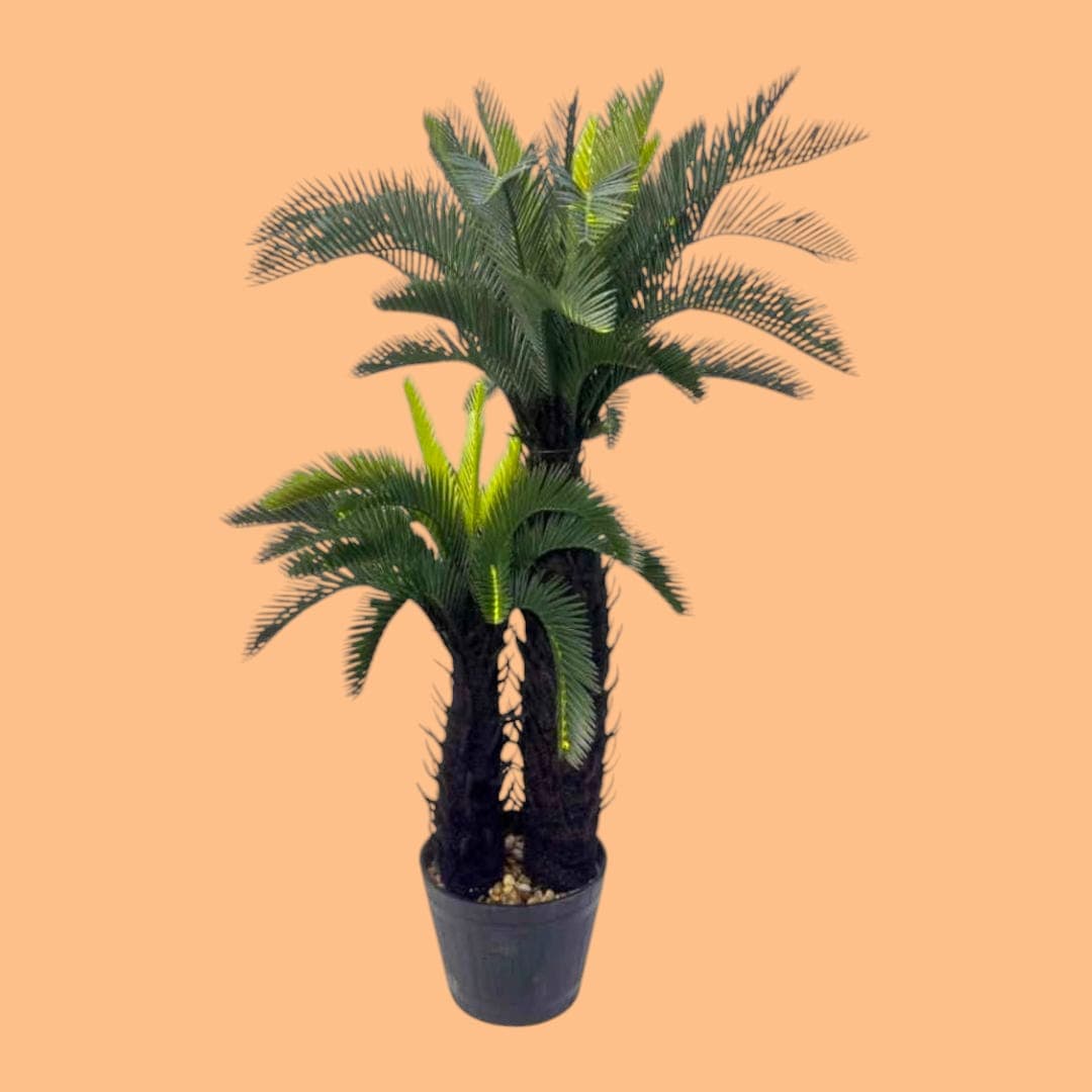 Artificial-Fake Plant — Artificial Plants for Dubai & UAE delivery | Planto.ae