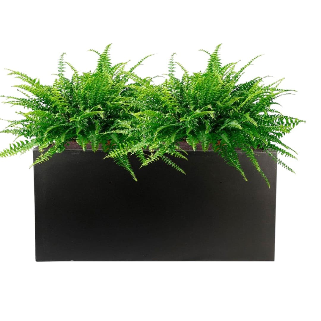 Artificial Fern in Black Rectangular Planter — Artificial Plants for Dubai & UAE delivery | Planto.ae