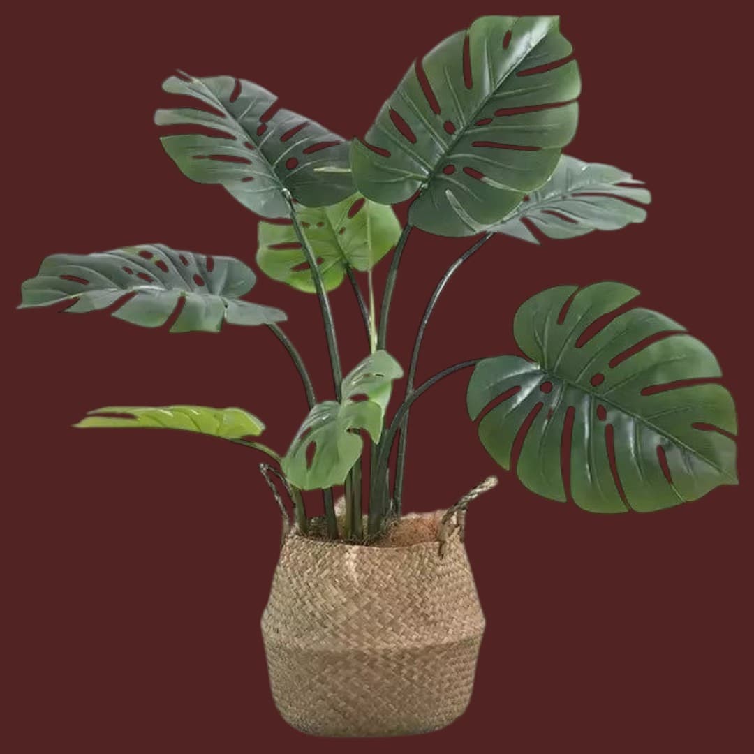 Artificial Monstera Plant In Basket — Artificial Plants for Dubai & UAE delivery | Planto.ae