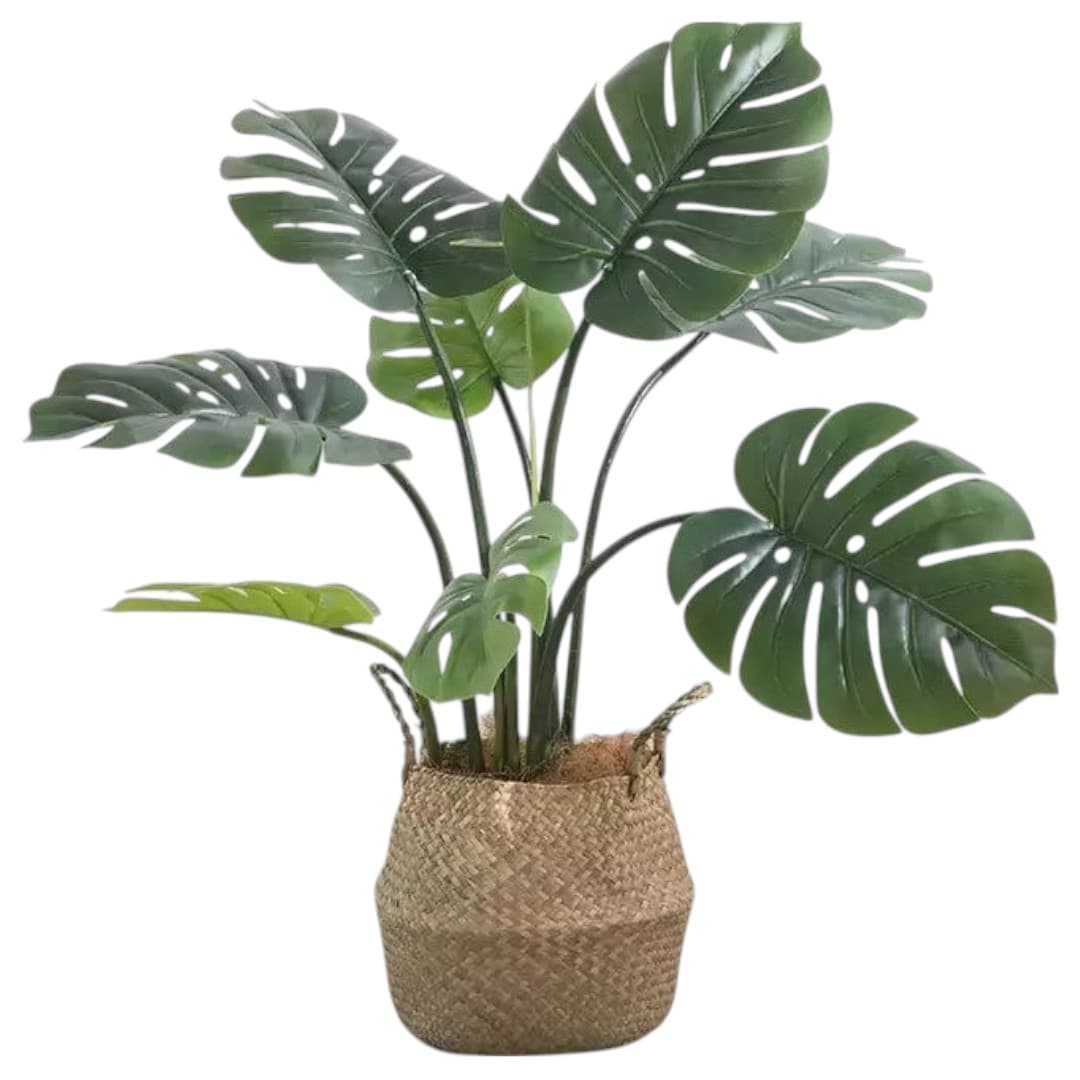Artificial Monstera Plant In Basket — photo 2 | Planto.ae UAE