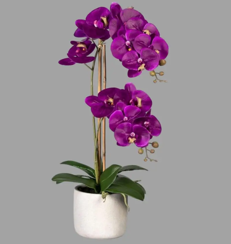 Artificial Orchid Arrangements In Ceramic Pot — photo 2 | Planto.ae UAE