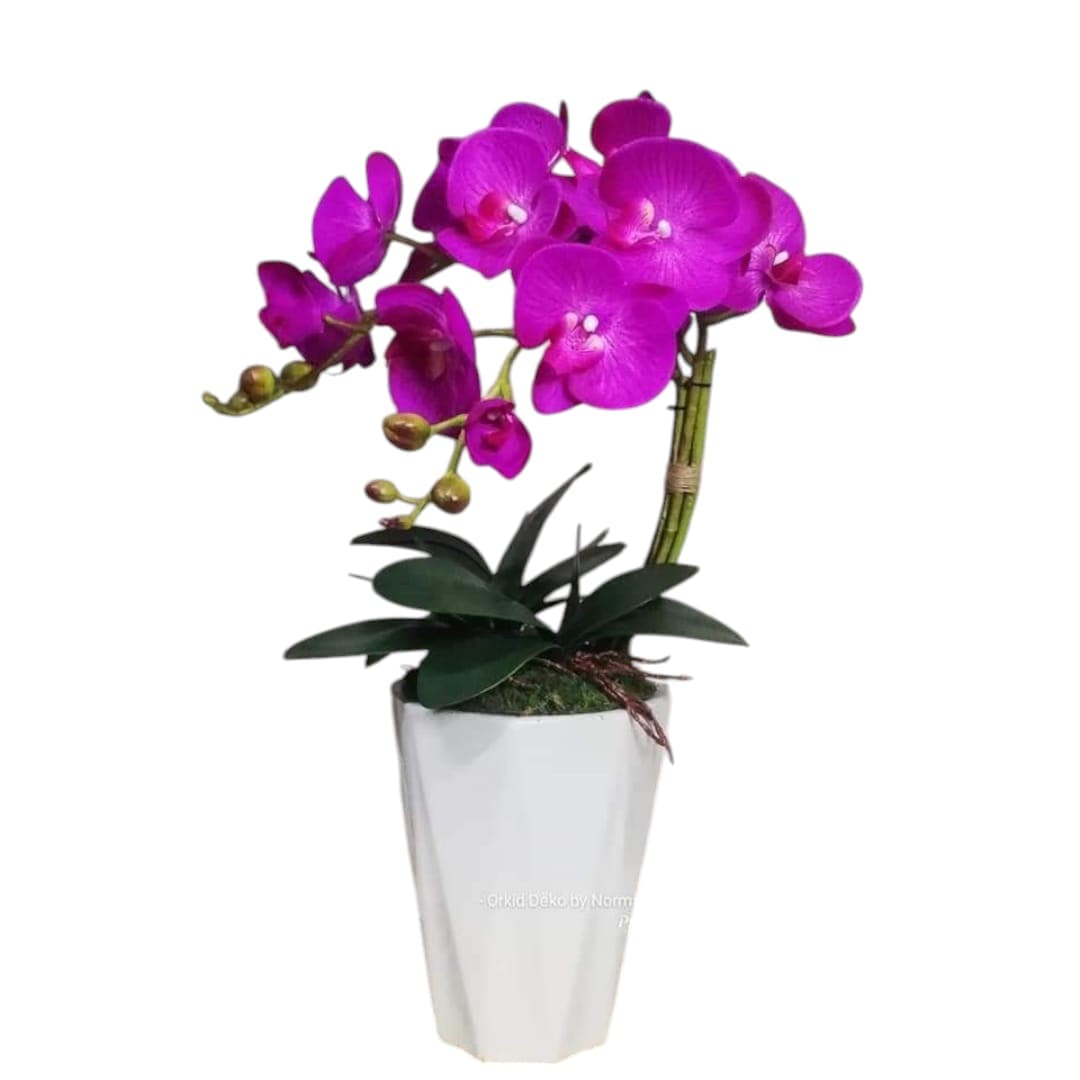 Artificial Orchid Colourfull stems In White Ceramic Pot — Artificial Plants for Dubai & UAE delivery | Planto.ae