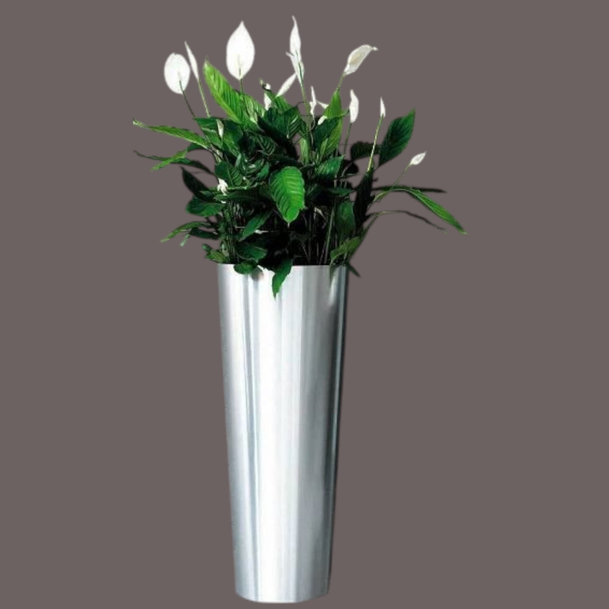 Artificial Peace Lilly In Big Silver Pot — Artificial Plants for Dubai & UAE delivery | Planto.ae