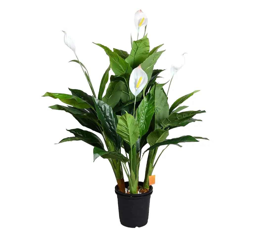 Artificial Peace Lilly Plant — Artificial Plants for Dubai & UAE delivery | Planto.ae