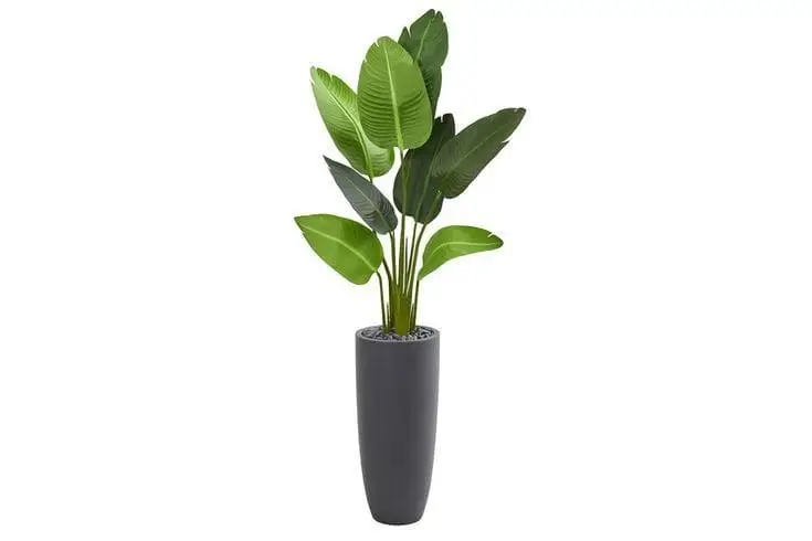 Artificial Plant In Black Pot — Artificial Plants for Dubai & UAE delivery | Planto.ae