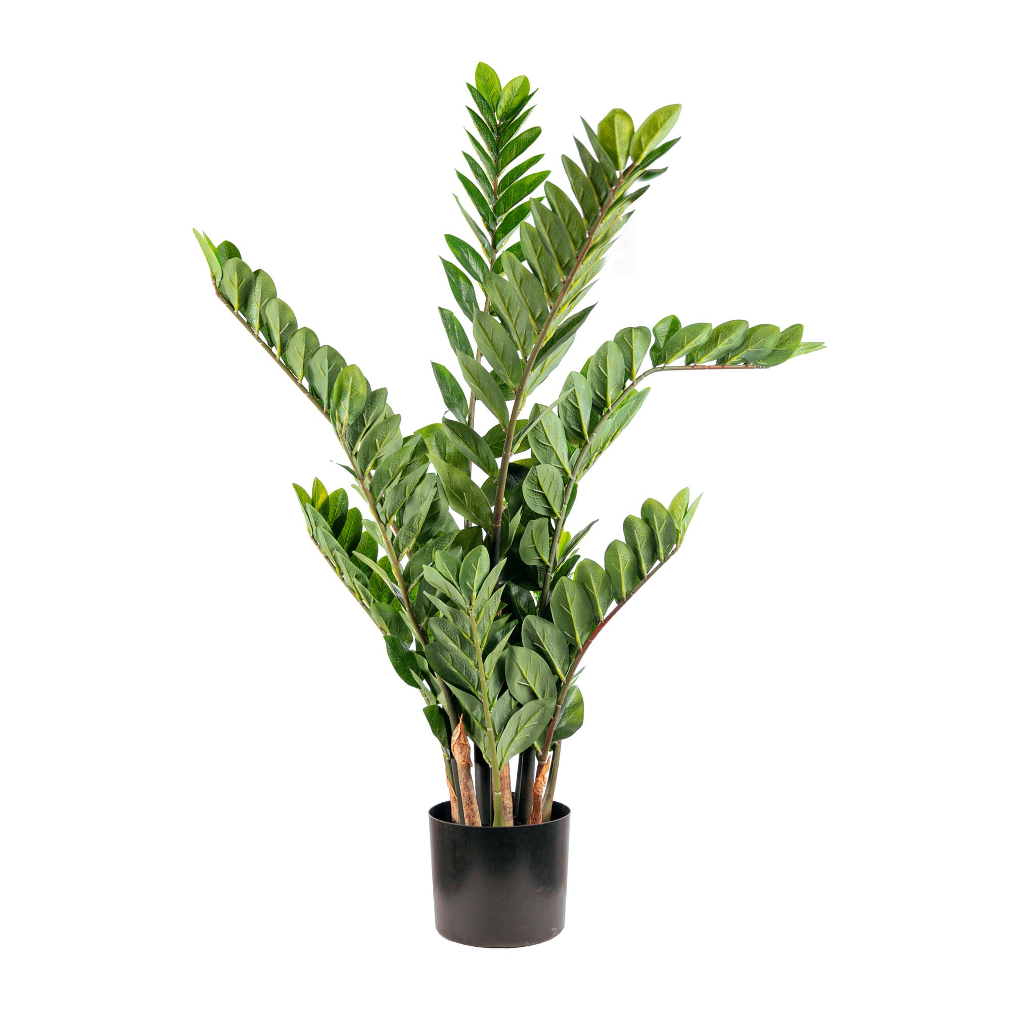 Artificial Zamifolia Plant -90Cm — Artificial Plants for Dubai & UAE delivery | Planto.ae