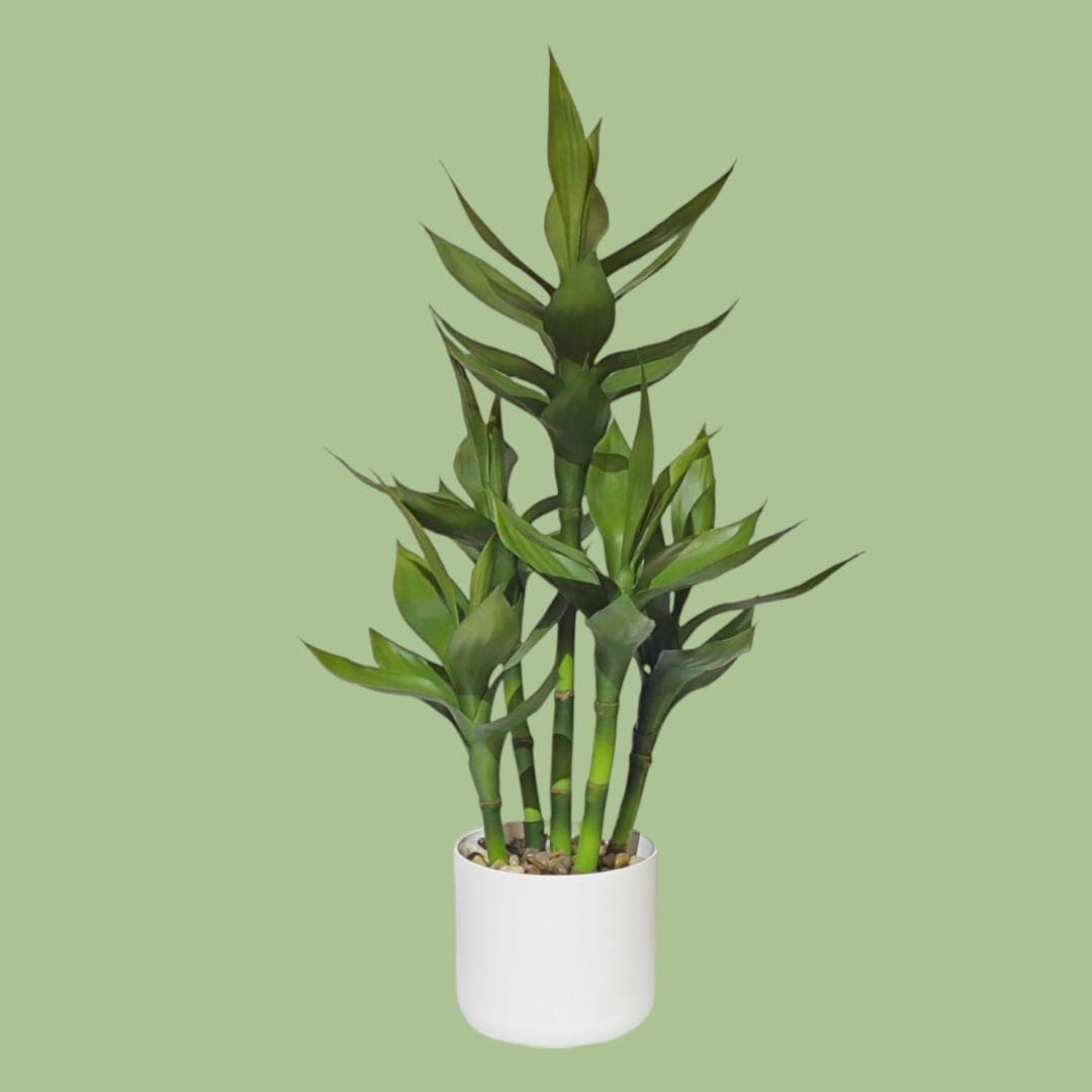 Beautiful Artificial Plant — Artificial Plants for Dubai & UAE delivery | Planto.ae