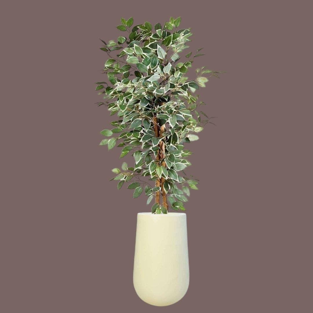 Beautiful Fake Plant — Artificial Plants for Dubai & UAE delivery | Planto.ae