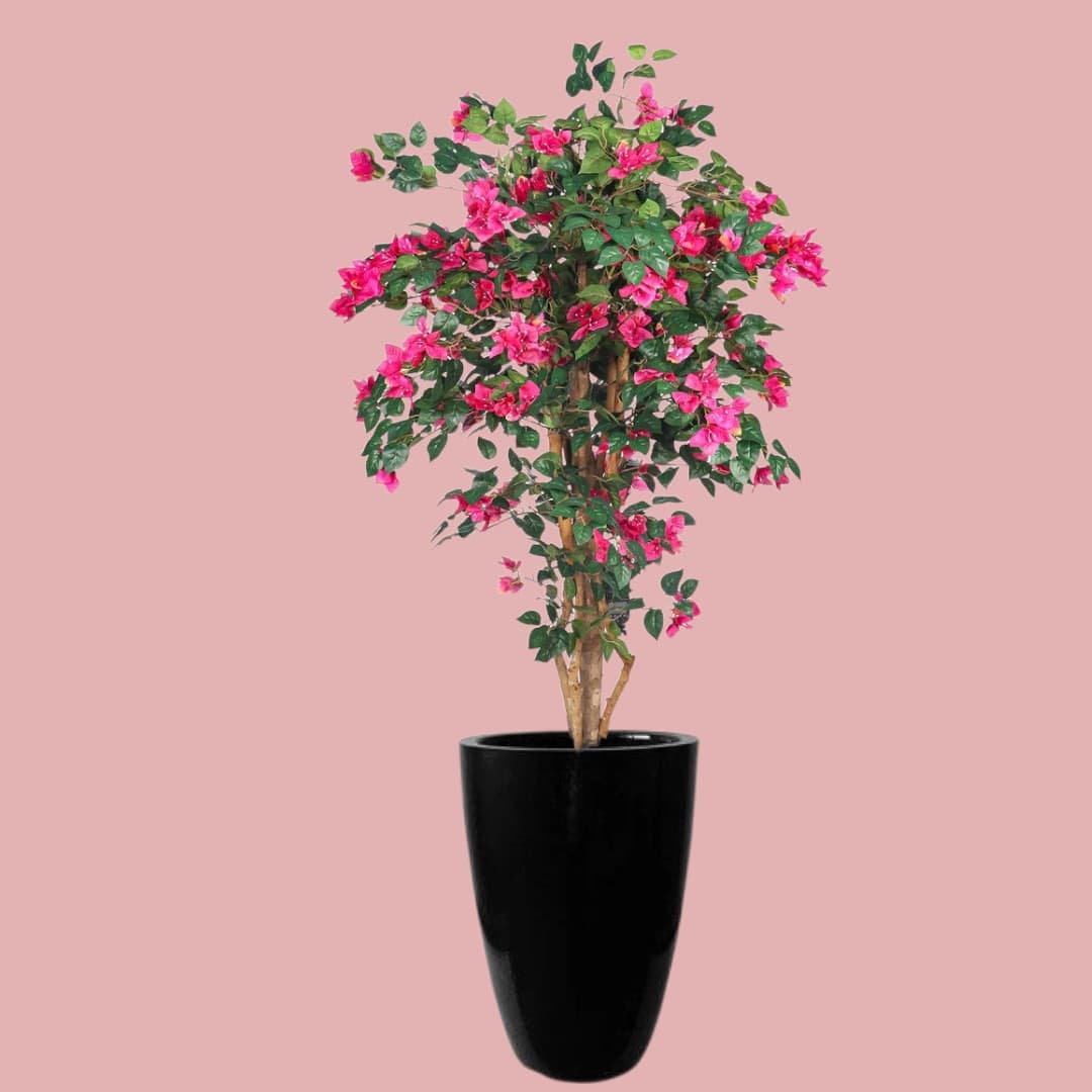 Bougainvillea Artificial Plant In Black Ceramic Pot — Artificial Plants for Dubai & UAE delivery | Planto.ae