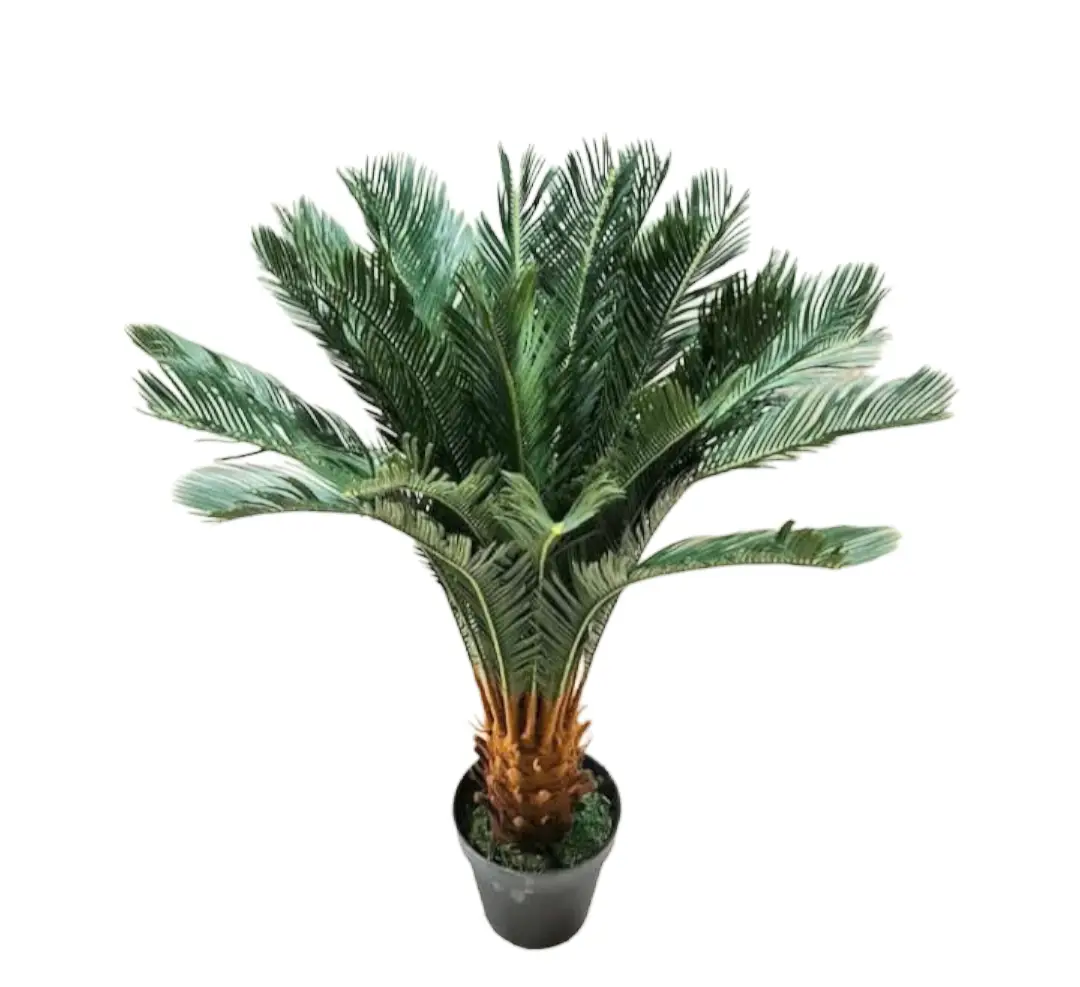 Cycas Artificial Plant — Artificial Plants for Dubai & UAE delivery | Planto.ae