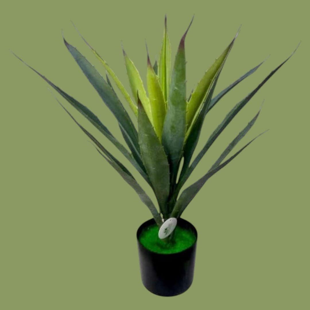 Fake Plant — Artificial Plants for Dubai & UAE delivery | Planto.ae