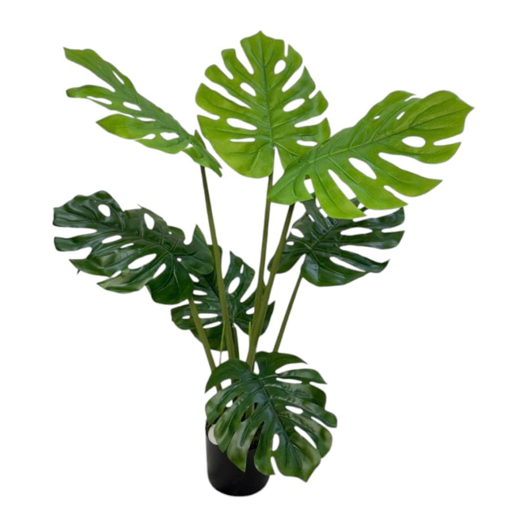 Fake Swiss Cheese Plant — Artificial Plants for Dubai & UAE delivery | Planto.ae