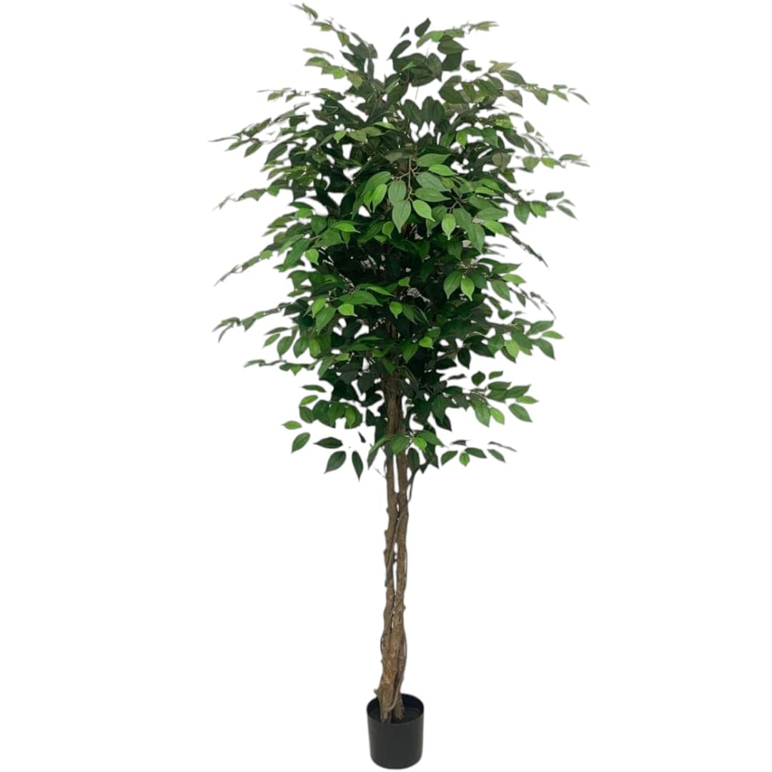 Ficus !80 cm Big Plant — Artificial Plants for Dubai & UAE delivery | Planto.ae
