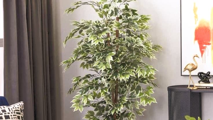 Ficus Artificial In Black fiber Pot — photo 2 | Planto.ae UAE