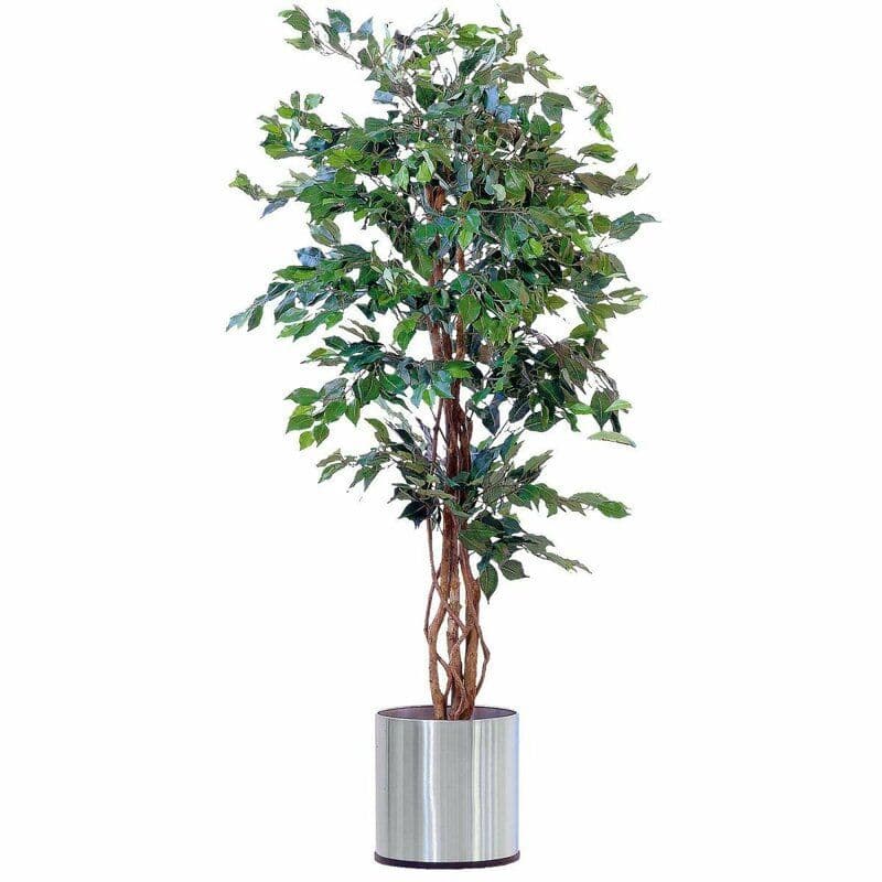 Ficus Artificial Plant In Silver Metal Pot — Artificial Plants for Dubai & UAE delivery | Planto.ae
