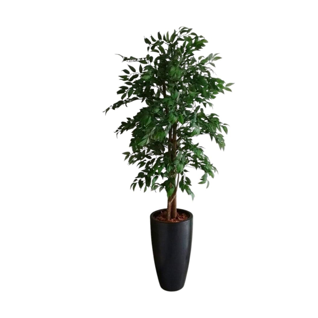 Ficus Fake 180CM In Black Ceramic pot — photo 2 | Planto.ae UAE