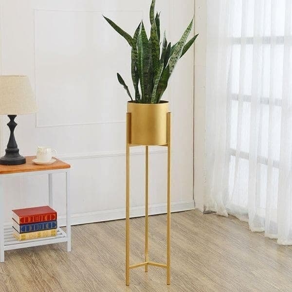 Snake Plant In Golden Stand Pot — Indoor Plants for Dubai & UAE delivery | Planto.ae