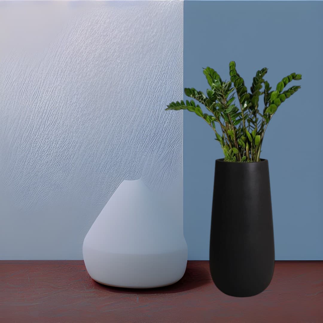 ZZ Zamioculcas Plant in Black Fiber Pot — photo 3 | Planto.ae UAE