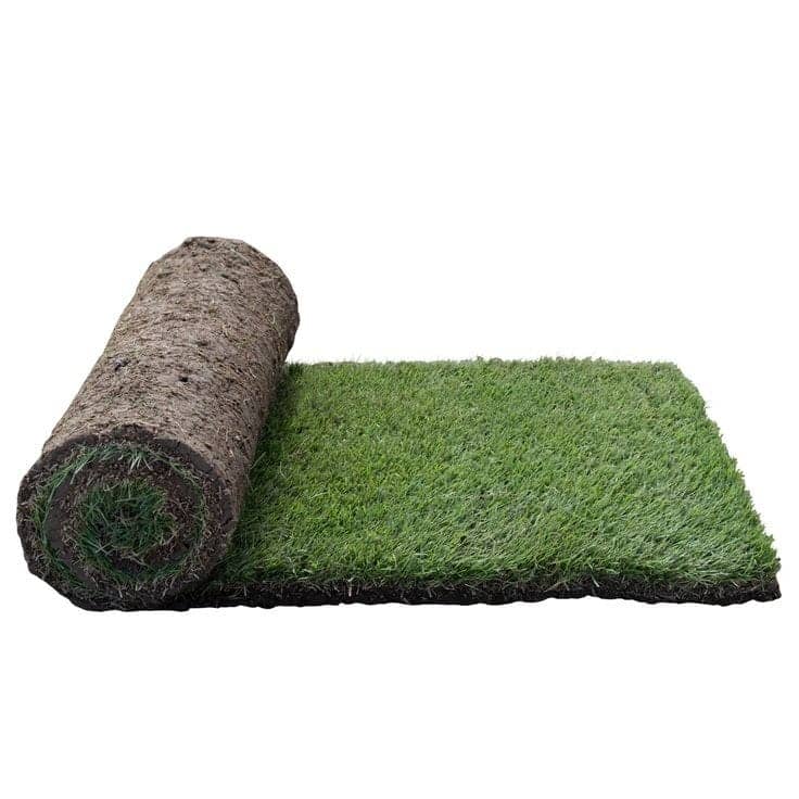 Grass Natural Green — Outdoor Plants for Dubai & UAE delivery | Planto.ae