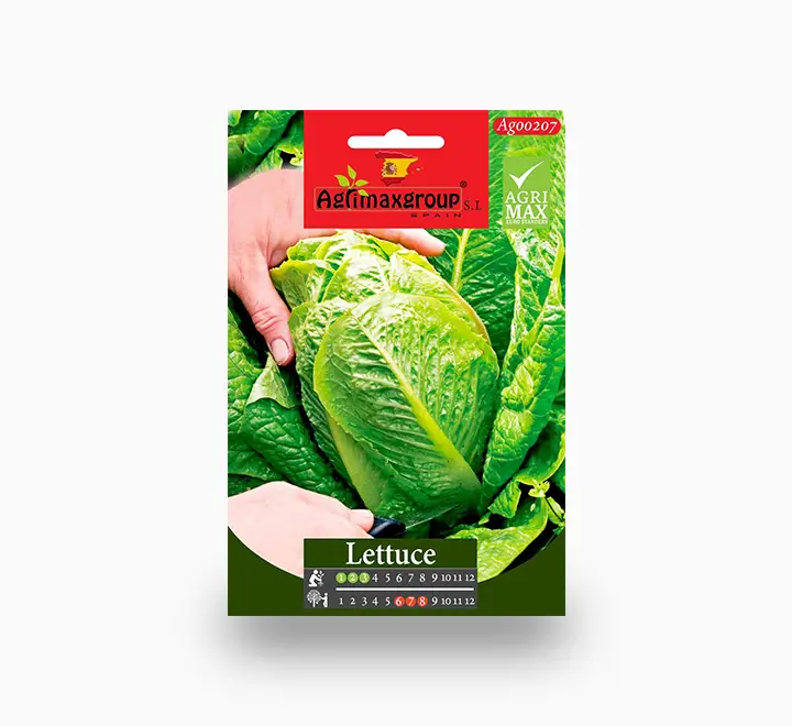 Lettuce Seeds — Seeds And Soil for Dubai & UAE delivery | Planto.ae