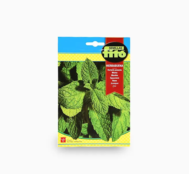 Peppermint Seeds 200g — Seeds And Soil for Dubai & UAE delivery | Planto.ae